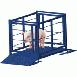 Весы для взвешивания животных ВСП4-150 ЖСО