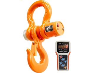 Крановые весы ВЭК/5-5000