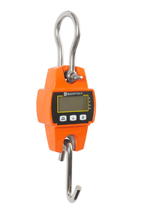 Весы крановые ВКМ-I-100-А