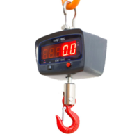 Крановые весы ВЭК-1000