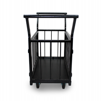 Платформенная тележка ТПТБ-1