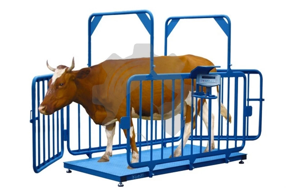 Весы для взвешивания животных ВСП4-1500 ЖСО