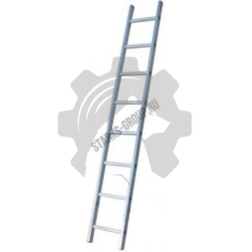 Лестница односекционная приставная 307см