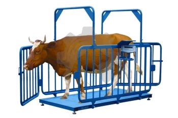 Весы для взвешивания животных ВСП4-2000.2 ЖСО